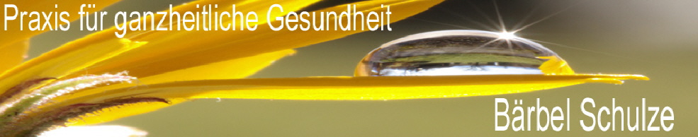 Datenschutz - baerbelschulze.de